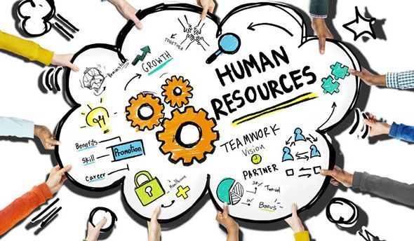 Zarzoob-Human-Resource-Management-Software